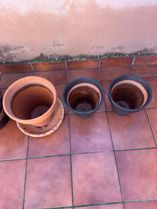 Lote Macetas terracota y Plástico Variadas