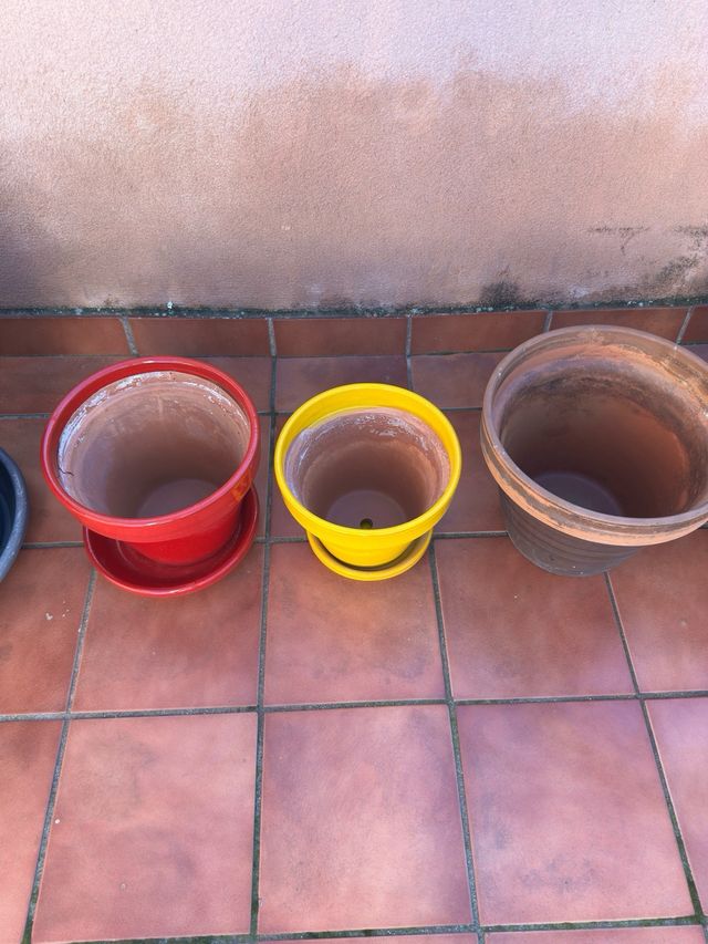 Lote Macetas terracota y Plástico Variadas