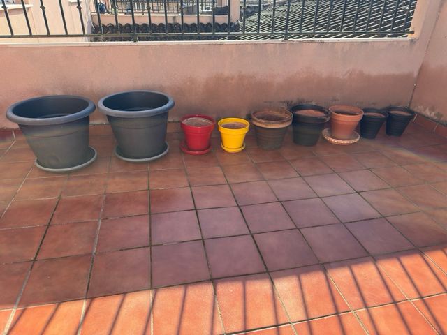 Lote Macetas terracota y Plástico Variadas