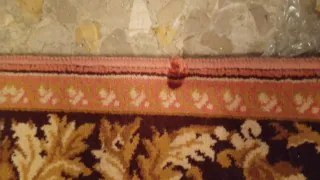 Alfombra estilo clásico floral