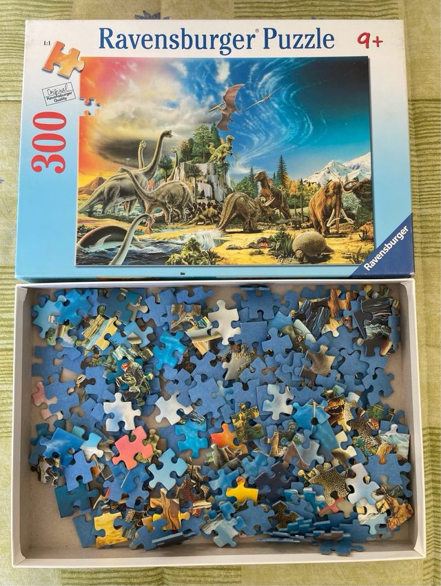 Puzzle dinosaurios, 9 años