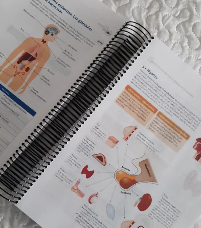 CuadernoTecnicas basicas infermeria