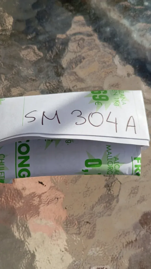 Chip SM 304 A para Korg CX3 Leer descripción