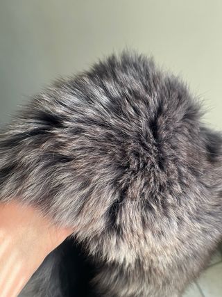 Collo e polsi in volpe argentata