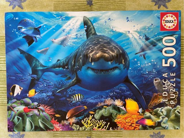 Puzzle Educa, 11 años