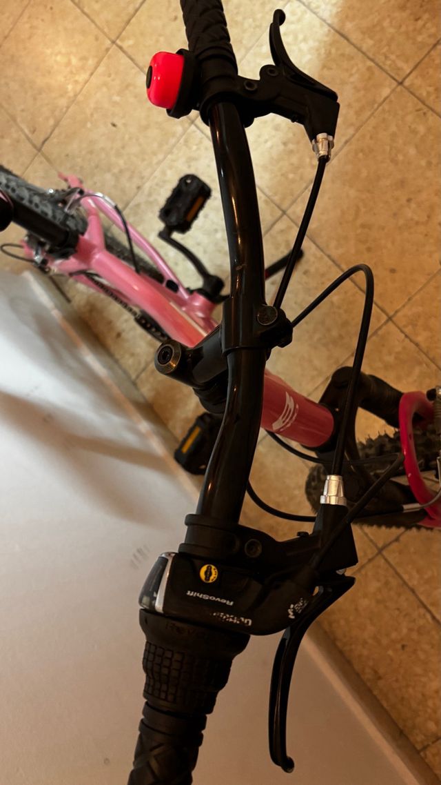 Bicicleta B-Pro Rosa