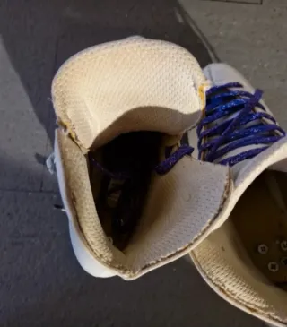 Pattini professionali Risport T.34