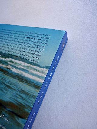 Saltando las olas, María Montero Ríos Gil.