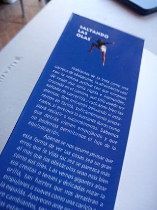 Saltando las olas, María Montero Ríos Gil.