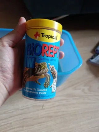 Terrario plástico para tortugas