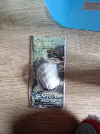 Terrario plástico para tortugas