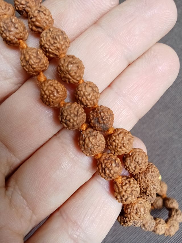 Japa Mala auténtico de semillas