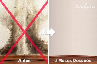 reparacion de humedades