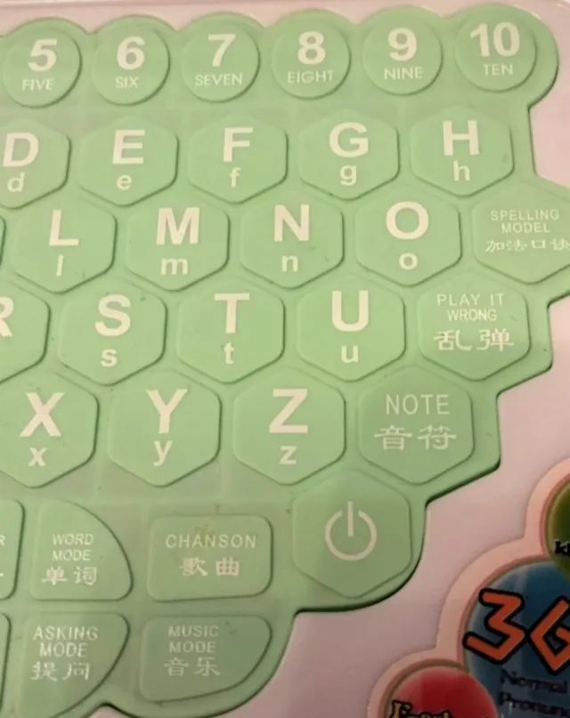 Estuche de teclas,Koala para niños