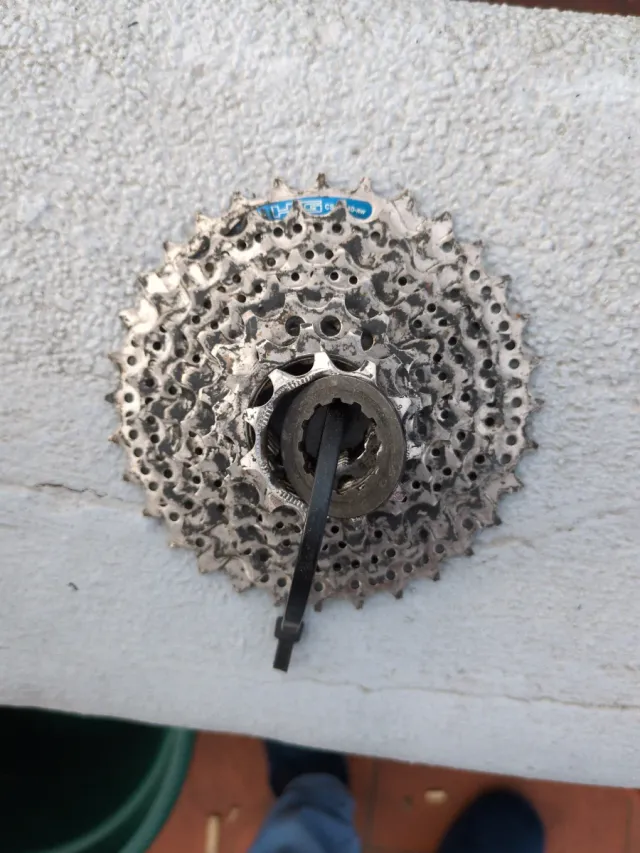 Cassette Shimano 7v