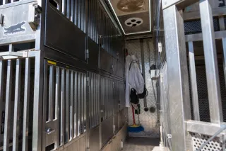 Man  TGE 3144 4x4 2019