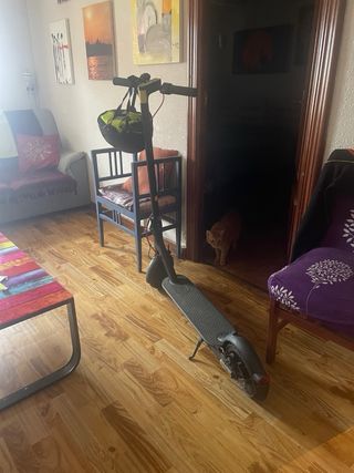 Patinete Eléctrico Xiaomi Pro 2