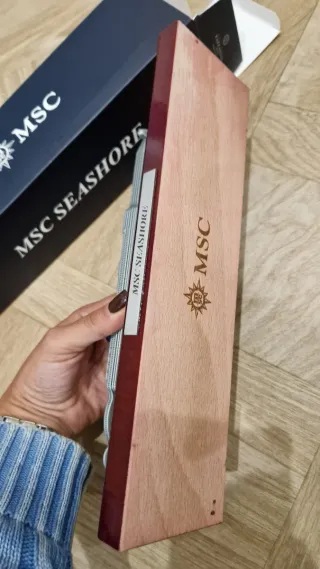 Modellino Nave MSC Seashore