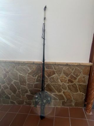 Pack 6 cañas de pesca con carretes