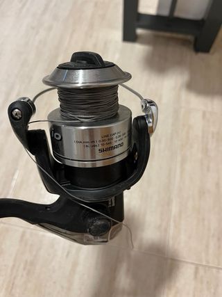 Caña de pesca para siluros