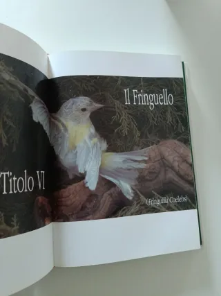 Il Colores degli Indigeni