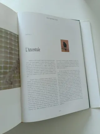 Il Colores degli Indigeni