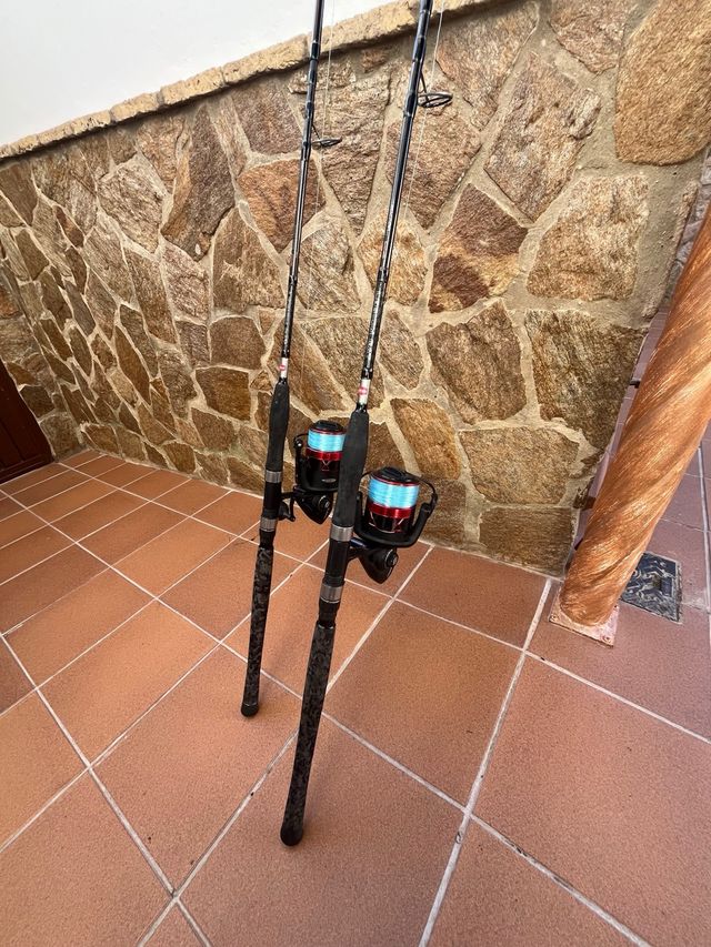 2 Cañas de Pesca con Carretes Penn
