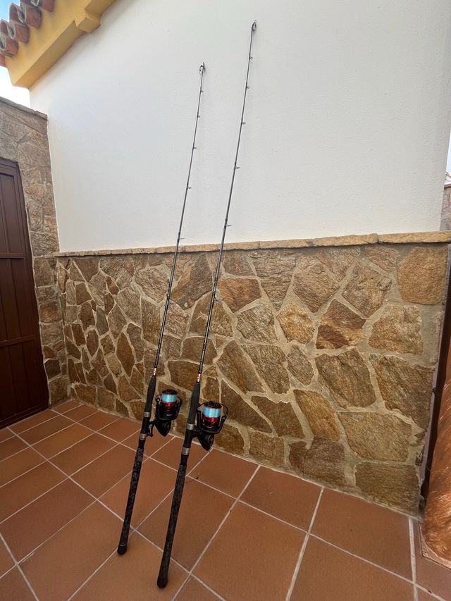 2 Cañas de Pesca con Carretes Penn