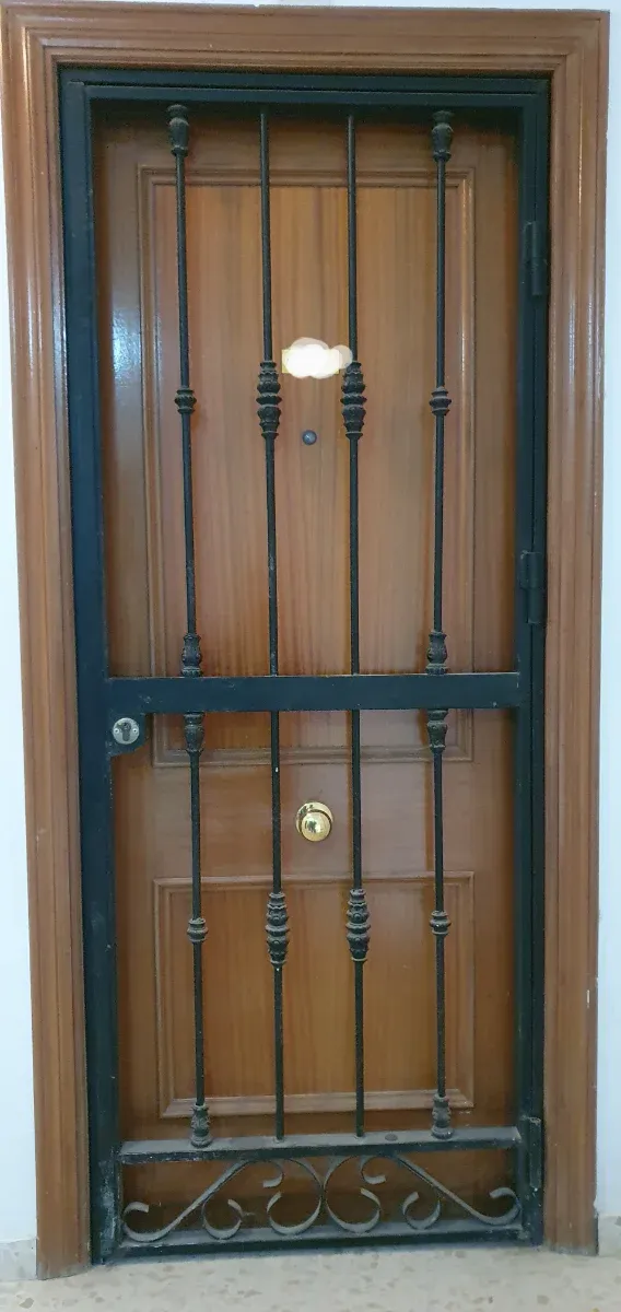 Reja de seguridad para puerta