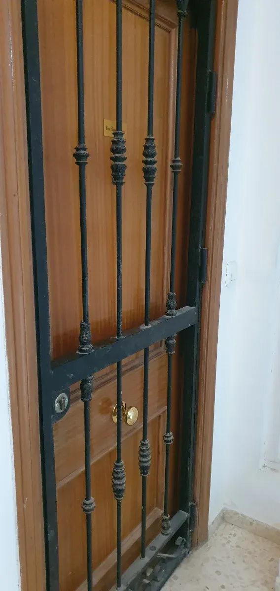Reja de seguridad para puerta