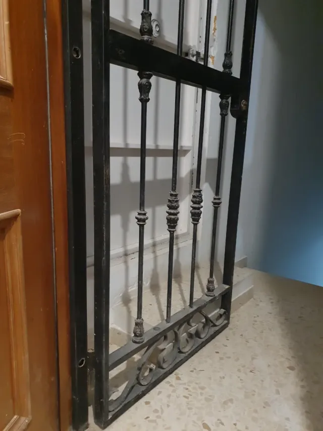 Reja de seguridad para puerta