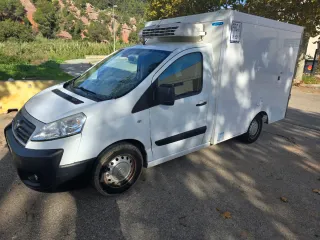 🥶 Fiat Scudo Isotermo + Frío Thermo King