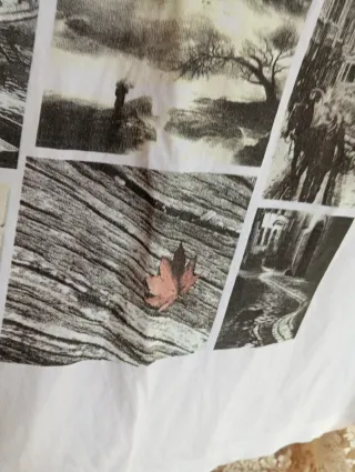 Camiseta Algodón Estampada Manga Larga Talla 52