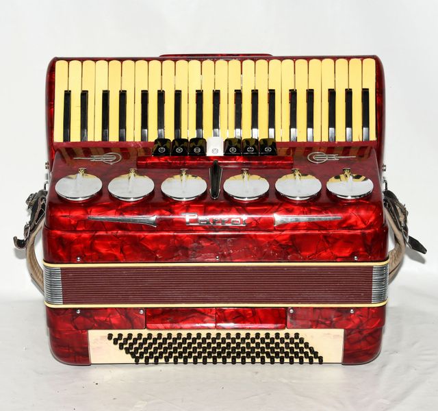 Acordeón Parrot Polifónico 120 Bajos