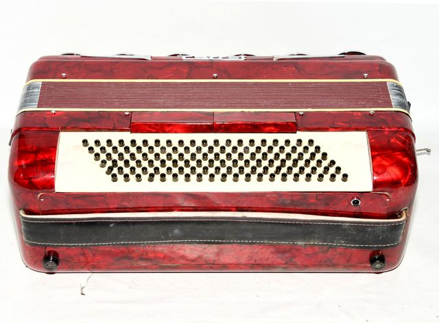 Acordeón Parrot Polifónico 120 Bajos