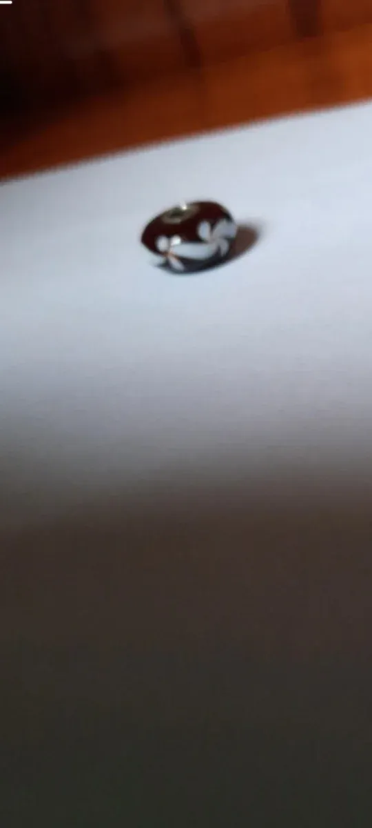 3 Charms para Pulsera Blanco y Negro