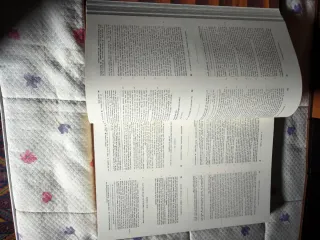 Crónica General de Espanha 1344 Facsímil y estudio