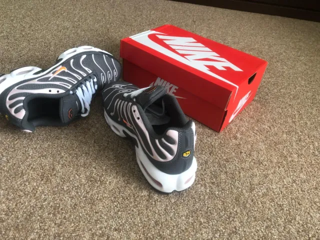 son nuevos. qué tengo varios colores de tallas