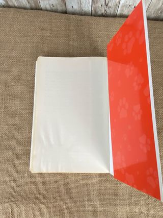 La vida con un perro es más feliz