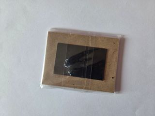 Calamita Totò con citazione