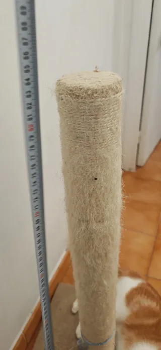 2 Grattugie per Gatti Usati, Molto Usurati