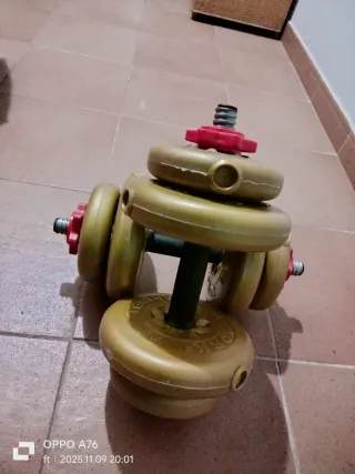 Mancuernas ajustables con discos