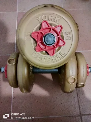 Mancuernas ajustables con discos