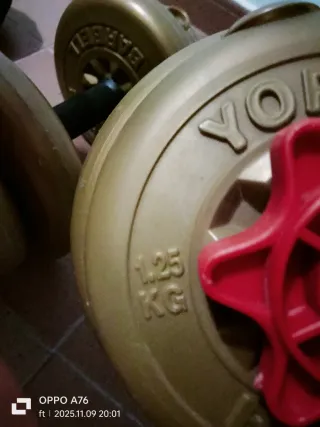 Mancuernas ajustables con discos