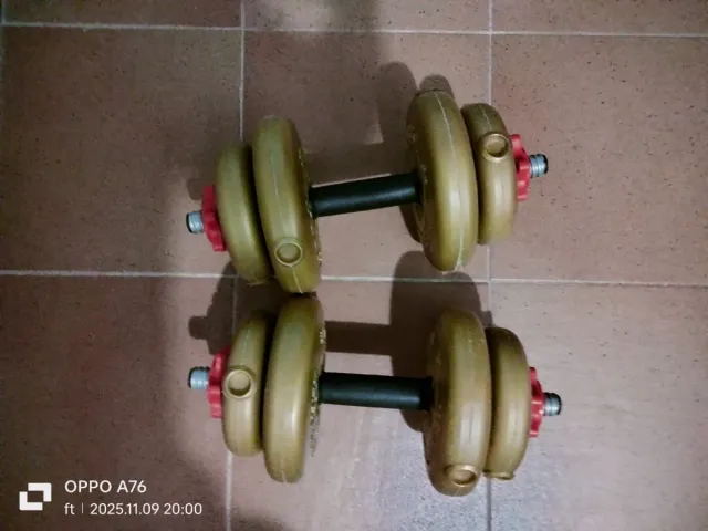 Mancuernas ajustables con discos