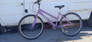 Bicicleta Morada Montaña