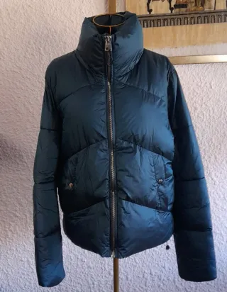 Bomber azul eléctrico