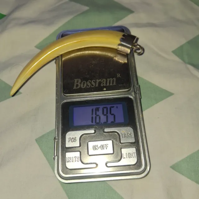 Colgante Cuerno y Plata 16.95g