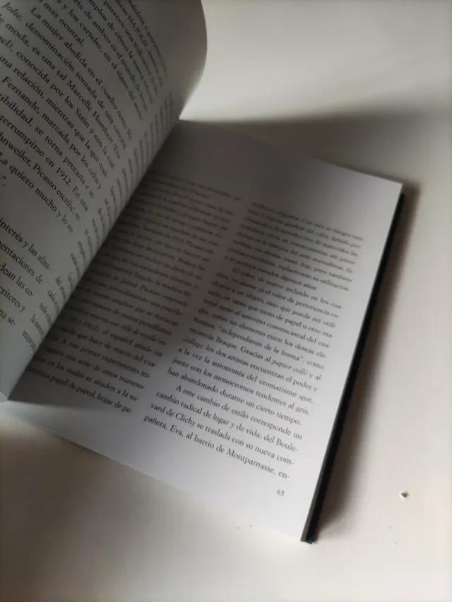 Libro Picasso 1881-1914