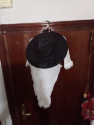 Disfraz Muñeco Nieve Infantil